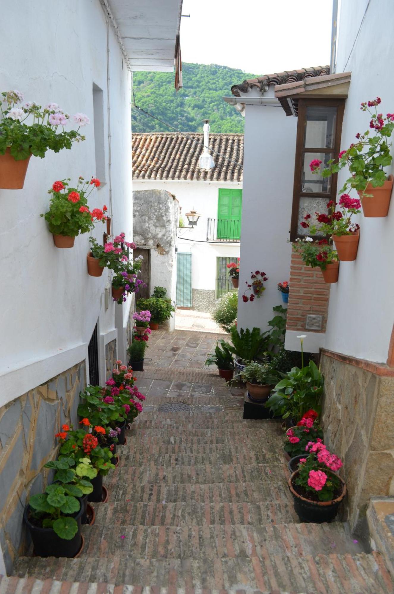 Finca El Molino De Aceite Jubrique Exterior photo